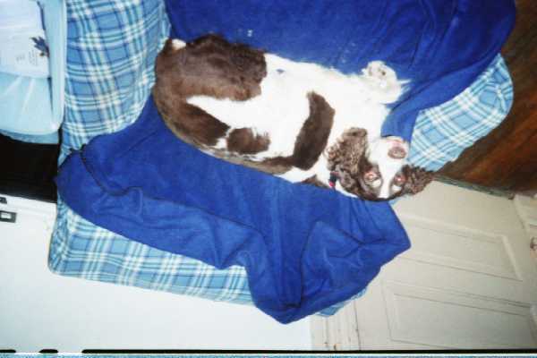 Berrymore on her throne upside down