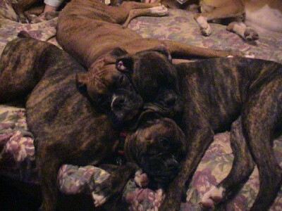Always Cuddling!