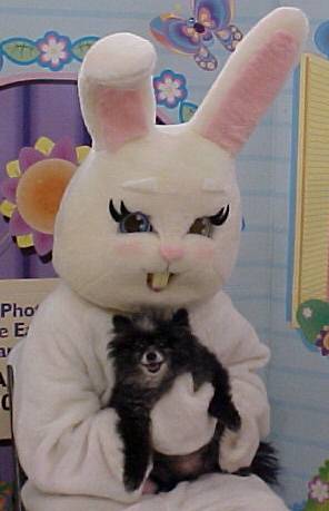 Easter 2003