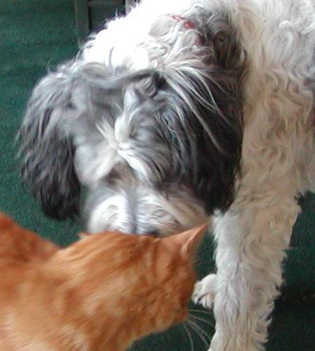 Georgia and her best pal, Chester