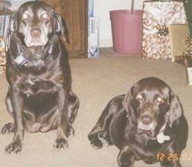 Sasha w/ her daughter , Hershey