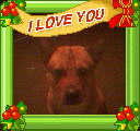 randys dog bubba