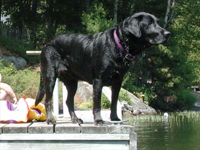 Kahlua