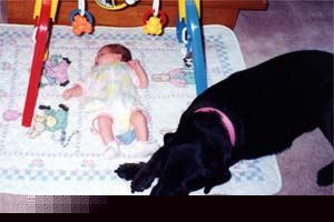 She loved to curl up between anyone's legs who was sitting on the floor