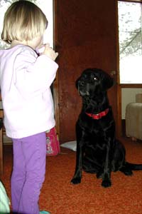 Extremely obedient. Loved her training lessons. Especially if there was a piece of cheese involved!