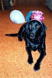 Happy New Year!