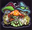 This is on here because Jordan's nickname was "shroom".