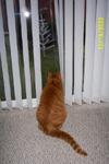 Looking out the window...