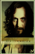 Sirius Black *The Prisoner of Azkaban*