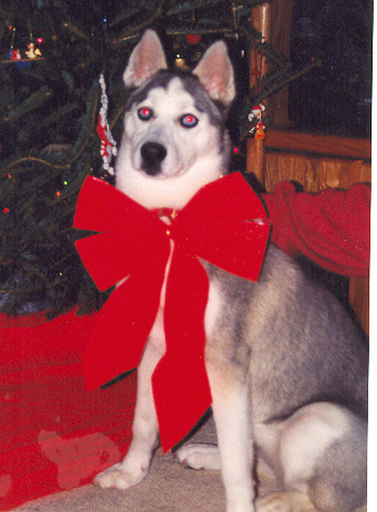 Honestly Santa I have been good all year long..